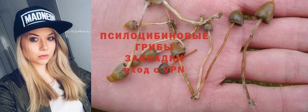 гидра Абинск