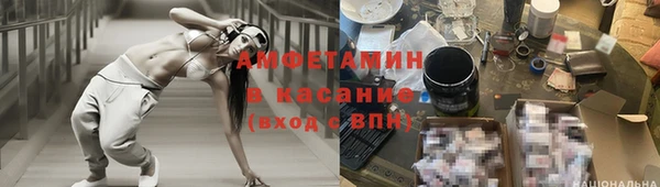молекула духа Новозыбков