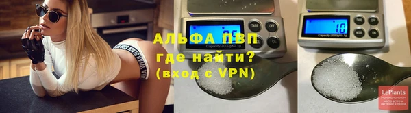 молекула духа Новозыбков