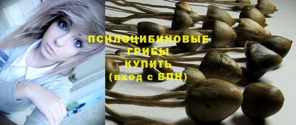 гидра Абинск
