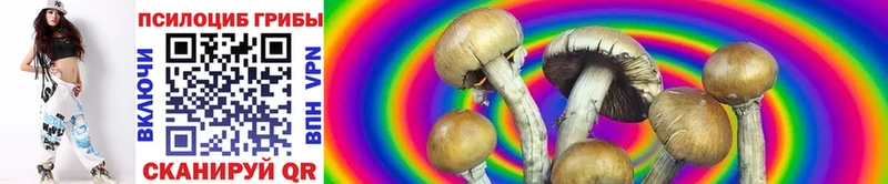 hydra ТОР  Вилючинск  Псилоцибиновые грибы Magic Shrooms 